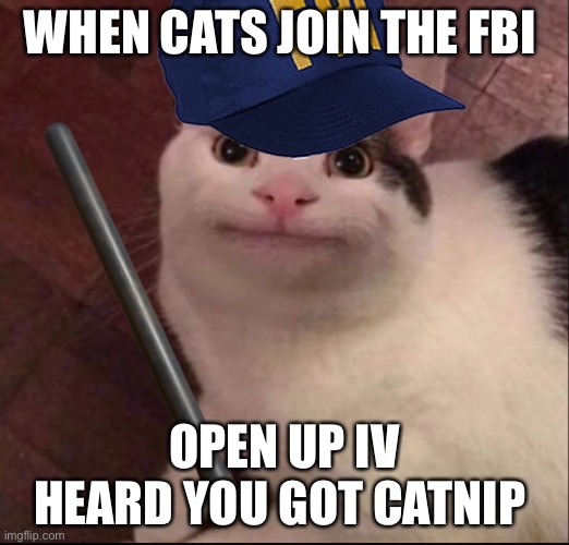 FBI beluga | WHEN CATS JOIN THE FBI; OPEN UP IV HEARD YOU GOT CATNIP | image tagged in fbi beluga | made w/ Imgflip meme maker