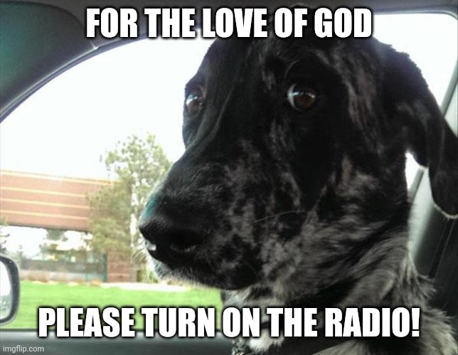FOR THE LOVE OF GOD PLEASE TURN ON THE RADIO! | made w/ Imgflip meme maker
