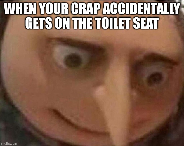 (dramatic music plays) | WHEN YOUR CRAP ACCIDENTALLY  GETS ON THE TOILET SEAT | image tagged in gru meme | made w/ Imgflip meme maker