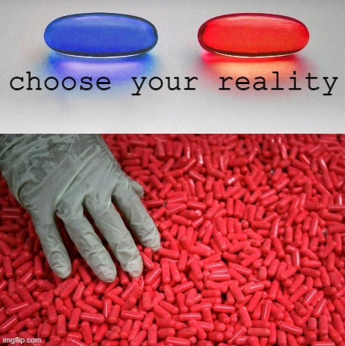 i watched the matrix teaser website | choose your reality | image tagged in blue or red pill | made w/ Imgflip meme maker