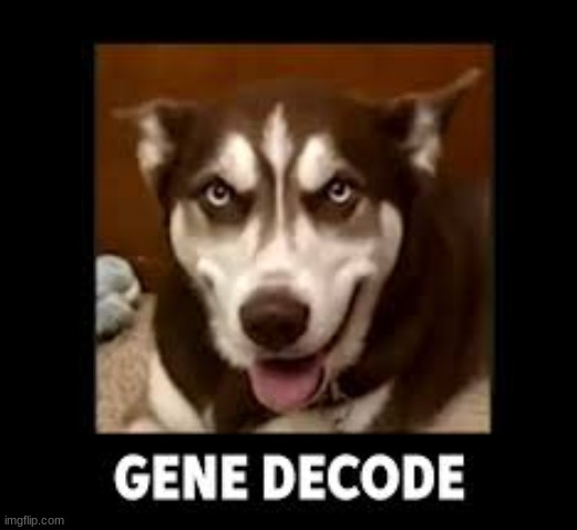 Gene DeCode Videos - Page 5 5wya1t