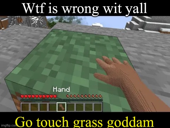 Hand touching Minecraft grass block | Wtf is wrong wit yall; Go touch grass goddam | made w/ Imgflip meme maker