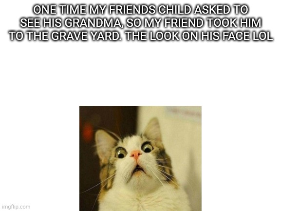 The grandma is still alive and everything was a prank lol | ONE TIME MY FRIENDS CHILD ASKED TO SEE HIS GRANDMA, SO MY FRIEND TOOK HIM TO THE GRAVE YARD. THE LOOK ON HIS FACE LOL | image tagged in blank white template,dark humor | made w/ Imgflip meme maker