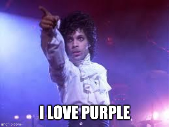 Prince | I LOVE PURPLE | image tagged in prince | made w/ Imgflip meme maker