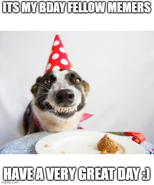 im 16 btw |  ITS MY BDAY FELLOW MEMERS; HAVE A VERY GREAT DAY :) | image tagged in birthday dog,happy | made w/ Imgflip meme maker