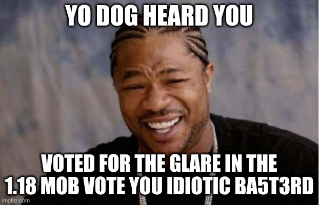 Yo Dawg Heard You Meme | YO DOG HEARD YOU; VOTED FOR THE GLARE IN THE 1.18 MOB VOTE YOU IDIOTIC BA5T3RD | image tagged in memes,yo dawg heard you | made w/ Imgflip meme maker
