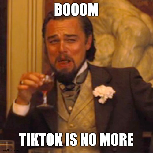 BOOOM TIKTOK IS NO MORE | image tagged in memes,laughing leo | made w/ Imgflip meme maker