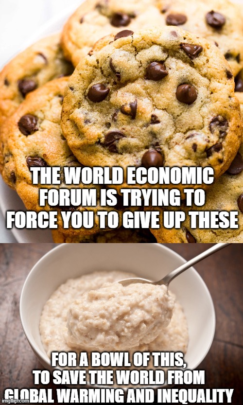 cookies vs porridge- they get to decide | THE WORLD ECONOMIC FORUM IS TRYING TO FORCE YOU TO GIVE UP THESE; FOR A BOWL OF THIS, TO SAVE THE WORLD FROM GLOBAL WARMING AND INEQUALITY | image tagged in food,government,porridge,oatmill,cookies | made w/ Imgflip meme maker