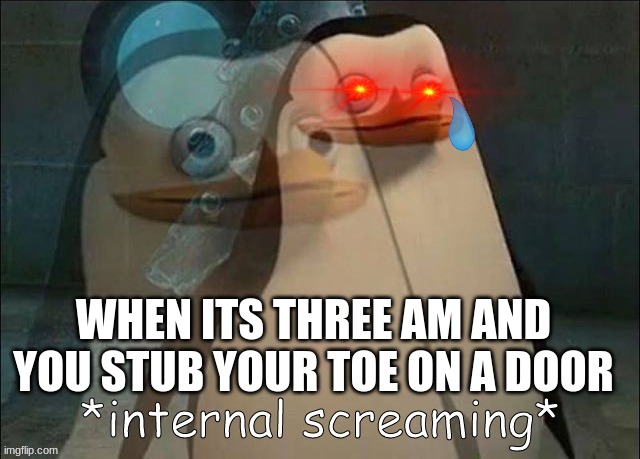 pain | WHEN ITS THREE AM AND YOU STUB YOUR TOE ON A DOOR | image tagged in private internal screaming | made w/ Imgflip meme maker