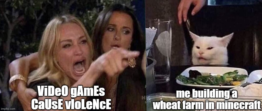 woman yelling at cat | ViDeO gAmEs CaUsE vIoLeNcE; me building a wheat farm in minecraft | image tagged in woman yelling at cat | made w/ Imgflip meme maker