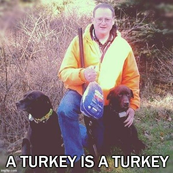 Not the hunting I expected | A TURKEY IS A TURKEY | image tagged in turkey | made w/ Imgflip meme maker
