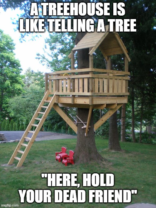 Tree House | A TREEHOUSE IS LIKE TELLING A TREE "HERE, HOLD YOUR DEAD FRIEND" | image tagged in tree house | made w/ Imgflip meme maker