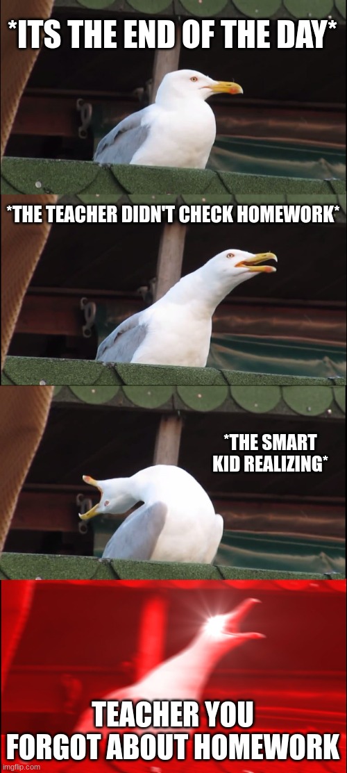 school homework | *ITS THE END OF THE DAY*; *THE TEACHER DIDN'T CHECK HOMEWORK*; *THE SMART KID REALIZING*; TEACHER YOU FORGOT ABOUT HOMEWORK | image tagged in memes,inhaling seagull | made w/ Imgflip meme maker