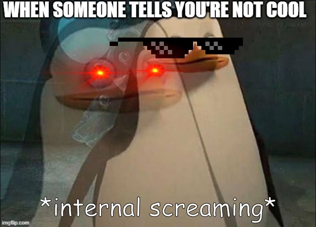 Private Internal Screaming | WHEN SOMEONE TELLS YOU'RE NOT COOL | image tagged in private internal screaming | made w/ Imgflip meme maker