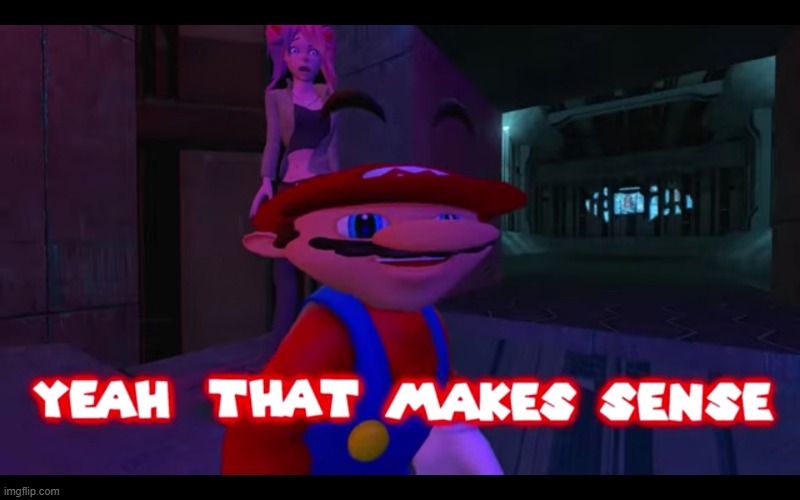 image tagged in yeah that makes sense smg4 | made w/ Imgflip meme maker