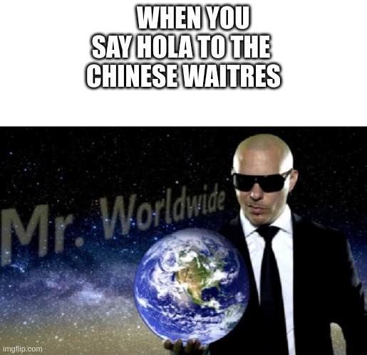 Mr. Worldwide | WHEN YOU SAY HOLA TO THE 
CHINESE WAITRESS | image tagged in mr worldwide | made w/ Imgflip meme maker