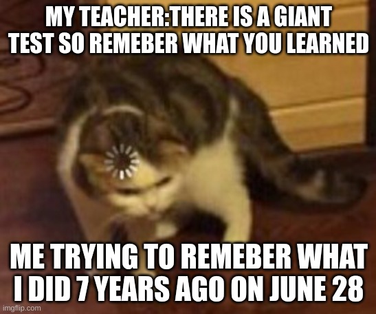 Loading cat | MY TEACHER:THERE IS A GIANT TEST SO REMEBER WHAT YOU LEARNED; ME TRYING TO REMEBER WHAT I DID 7 YEARS AGO ON JUNE 28 | image tagged in loading cat | made w/ Imgflip meme maker