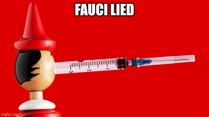 FAUCI LIED | image tagged in dr fauci | made w/ Imgflip meme maker