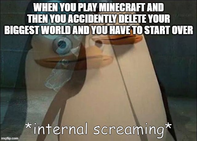 do you hate it when this happens? | WHEN YOU PLAY MINECRAFT AND THEN YOU ACCIDENTLY DELETE YOUR BIGGEST WORLD AND YOU HAVE TO START OVER | image tagged in private internal screaming | made w/ Imgflip meme maker