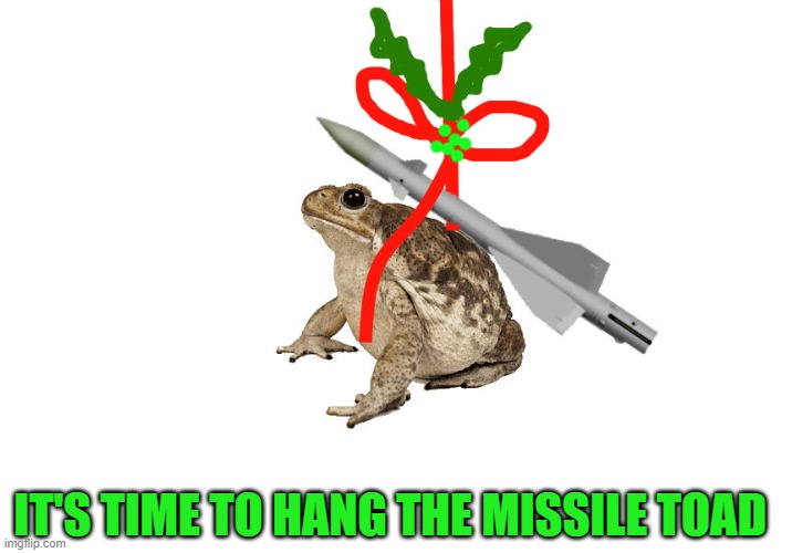 Missile toad | IT'S TIME TO HANG THE MISSILE TOAD | image tagged in xmas,missile toad | made w/ Imgflip meme maker