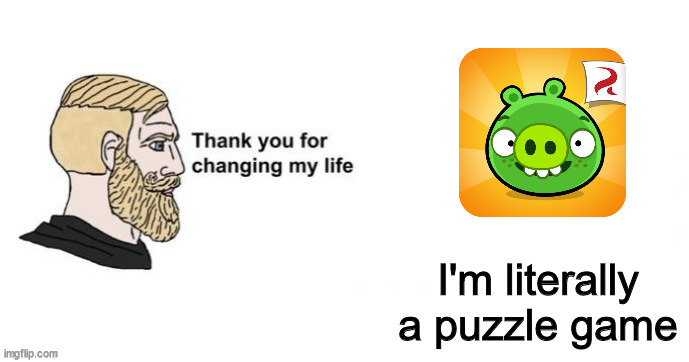 Yes, i played bad piggies. |  I'm literally a puzzle game | image tagged in thank you for saving my life | made w/ Imgflip meme maker