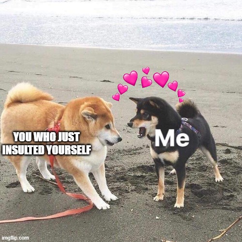 *angry danny noises* | YOU WHO JUST INSULTED YOURSELF | image tagged in wholesome doges at the beach | made w/ Imgflip meme maker