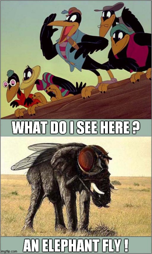 Not Dumbo ! |  WHAT DO I SEE HERE ? AN ELEPHANT FLY ! | image tagged in fun,dumbo,crows | made w/ Imgflip meme maker