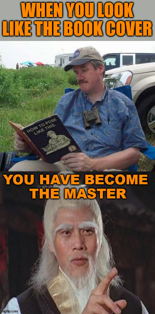Looks like the book cover | WHEN YOU LOOK LIKE THE BOOK COVER | image tagged in wise master | made w/ Imgflip meme maker