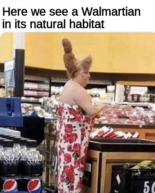 The not so endangered species of Walmartians | Here we see a Walmartian in its natural habitat | image tagged in the walmartian | made w/ Imgflip meme maker