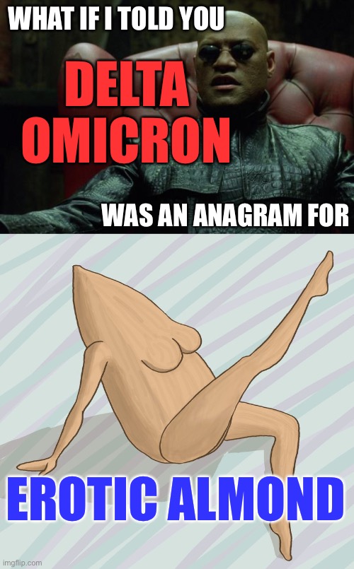 WHAT IF I TOLD YOU; DELTA OMICRON; WAS AN ANAGRAM FOR; EROTIC ALMOND | image tagged in matrix morpheus,what if i told you,erotic almond,delta,omicron,covid-19 | made w/ Imgflip meme maker