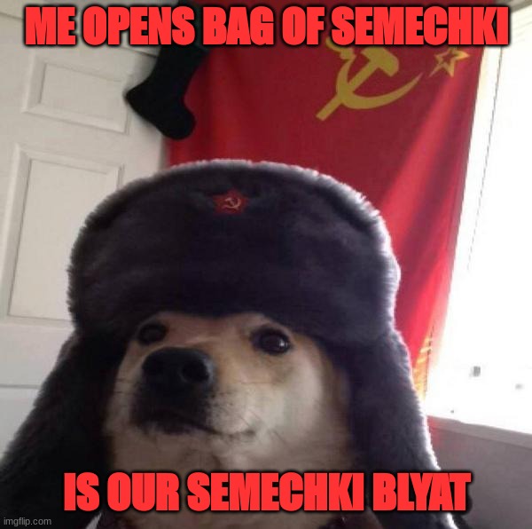 Russian Doge | ME OPENS BAG OF SEMECHKI; IS OUR SEMECHKI BLYAT | image tagged in russian doge | made w/ Imgflip meme maker