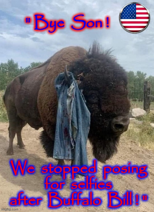 No Selfies ! | " Bye  Son ! We  stopped  posing  for  selfies  after  Buffalo  Bill ! " | image tagged in bison | made w/ Imgflip meme maker