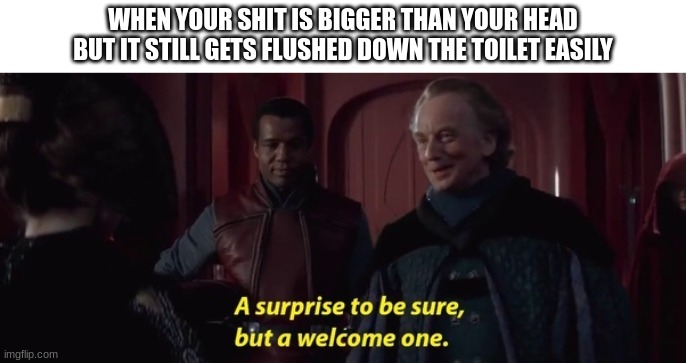 A Surprise to be sure | WHEN YOUR SHIT IS BIGGER THAN YOUR HEAD BUT IT STILL GETS FLUSHED DOWN THE TOILET EASILY | image tagged in a surprise to be sure,memes,toilet,shit | made w/ Imgflip meme maker
