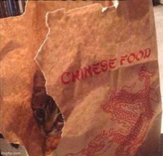 Chinese food | image tagged in chinese food | made w/ Imgflip meme maker