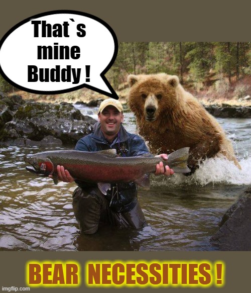 The Bear Necessities of Life ! |  That`s
mine
Buddy ! BEAR  NECESSITIES ! | image tagged in salmon | made w/ Imgflip meme maker