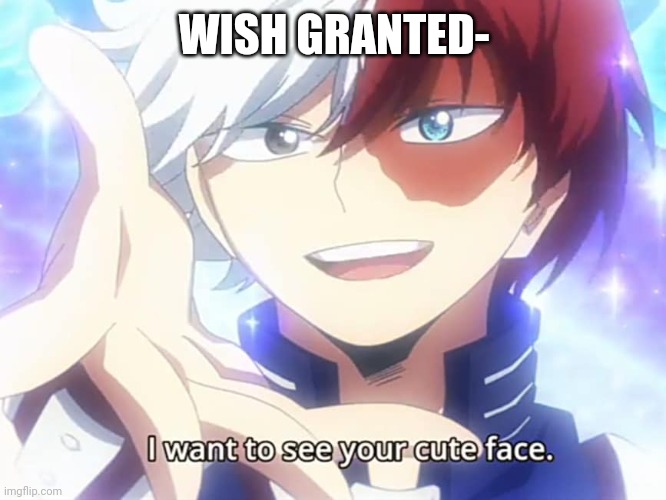 Todoroki I want to see your cute face | WISH GRANTED- | image tagged in todoroki i want to see your cute face | made w/ Imgflip meme maker