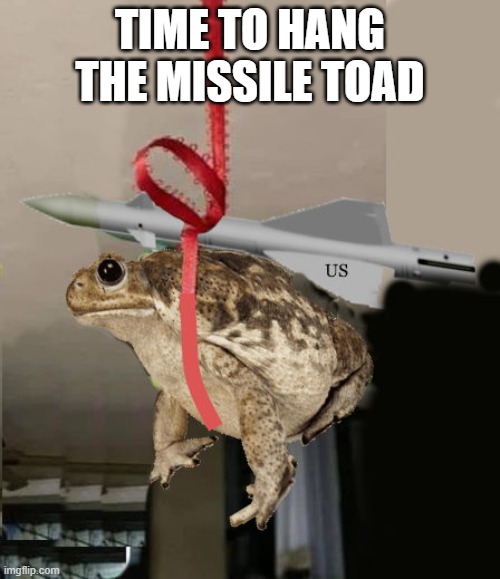 missile toad | TIME TO HANG THE MISSILE TOAD | image tagged in missile,toad | made w/ Imgflip meme maker