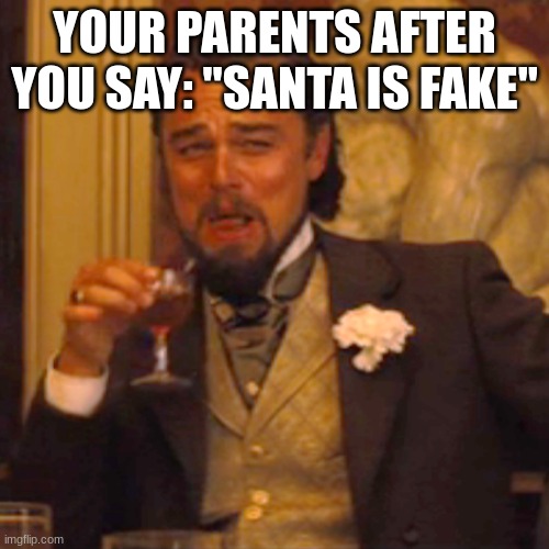 i'm at this stage | YOUR PARENTS AFTER YOU SAY: "SANTA IS FAKE" | image tagged in memes,laughing leo | made w/ Imgflip meme maker