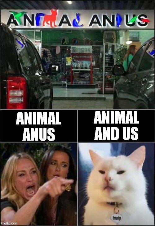 That's An Odd Pet Shop Name ? | ANIMAL AND US; ANIMAL ANUS | image tagged in cats,smudge,pet shop | made w/ Imgflip meme maker