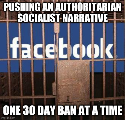 Facebook jail |  PUSHING AN AUTHORITARIAN SOCIALIST NARRATIVE; ONE 30 DAY BAN AT A TIME | image tagged in facebook jail | made w/ Imgflip meme maker