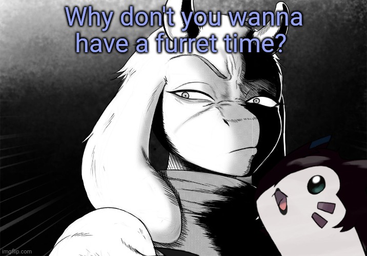 Why don't you wanna have a furret time? | made w/ Imgflip meme maker
