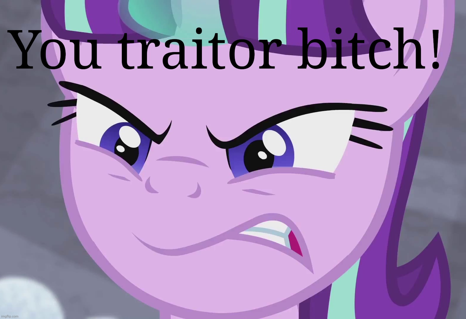 You traitor bitch! | made w/ Imgflip meme maker