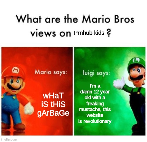 prnhub kids | Prnhub kids; wHaT iS tHiS gArBaGe; I'm a damn 12 year old with a freaking mustache, this website is revolutionary | image tagged in mario vs luigi,pornhub kids | made w/ Imgflip meme maker