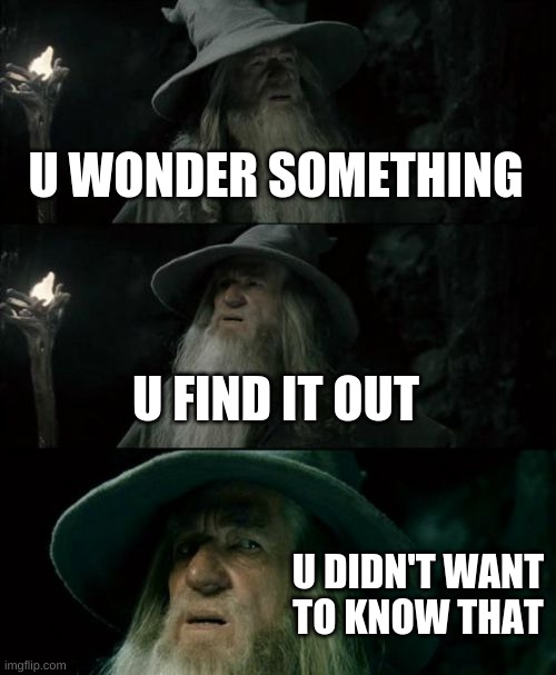 Confused Gandalf Meme | U WONDER SOMETHING; U FIND IT OUT; U DIDN'T WANT TO KNOW THAT | image tagged in memes,confused gandalf | made w/ Imgflip meme maker