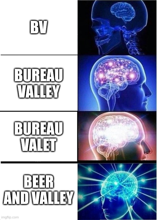 Expanding Brain Meme | BV; BUREAU VALLEY; BUREAU VALET; BEER AND VALLEY | image tagged in memes,expanding brain | made w/ Imgflip meme maker