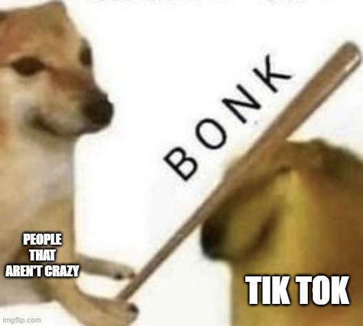 bonk | PEOPLE THAT AREN'T CRAZY; TIK TOK | image tagged in bonk | made w/ Imgflip meme maker
