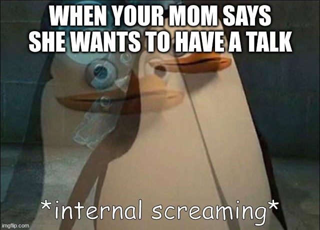 oh great | WHEN YOUR MOM SAYS SHE WANTS TO HAVE A TALK | image tagged in private internal screaming | made w/ Imgflip meme maker