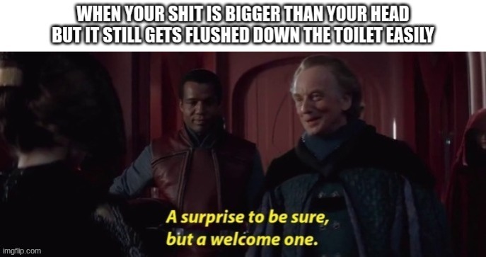 a surprise to be sure | image tagged in memes,a surprise to be sure,shit,toilet | made w/ Imgflip meme maker