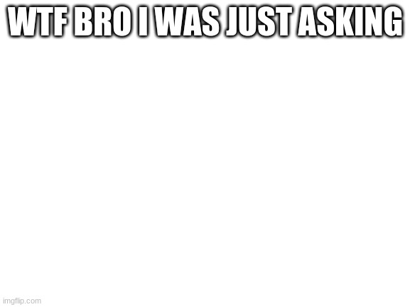 Blank White Template | WTF BRO I WAS JUST ASKING | image tagged in blank white template | made w/ Imgflip meme maker