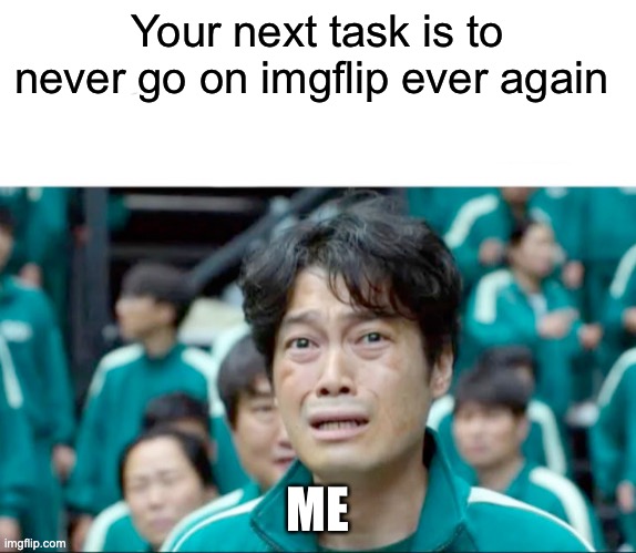 Your next task is… | Your next task is to never go on imgflip ever again; ME | image tagged in your next task is to- | made w/ Imgflip meme maker